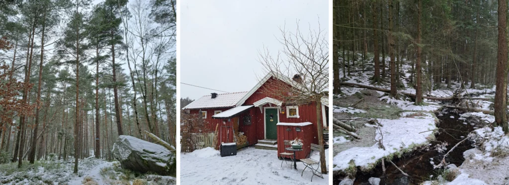 Petite stuga rouge au cœur de la nature hivernale près de Göteborg